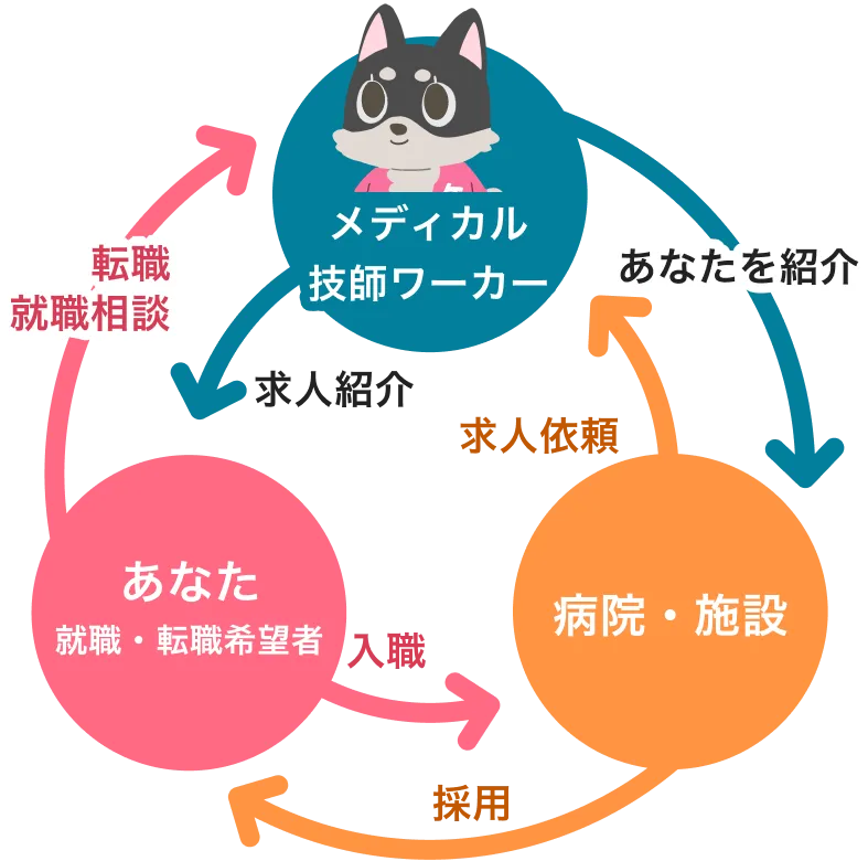 メディカル技師ワーカーは、臨床工学技士、臨床検査技師、治療放射線技師の採用活動を行う事業者と求職者の間に立ち、両者のマッチングをサポートします。