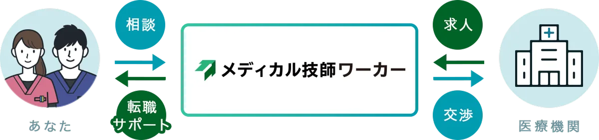 メディカル技師ワーカーは、採用活動を行う事業者と求職者の間に立ち、両者のマッチングをサポートします。